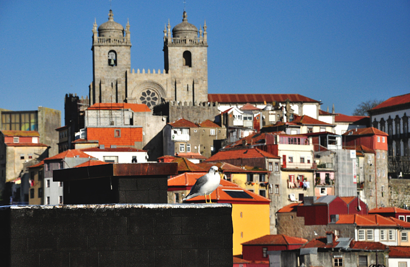 Portugalia Porto