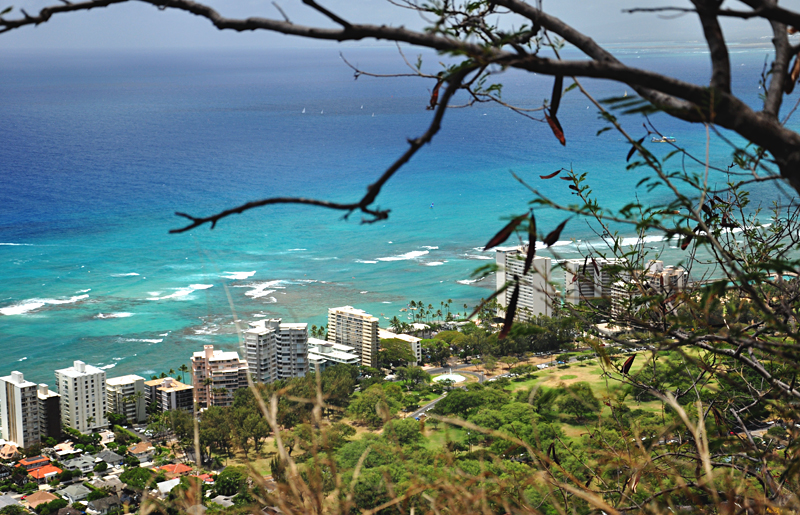 Diamond Head widok