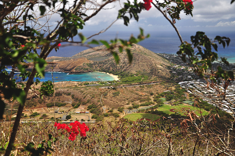 Hanuama Bay Hawaje