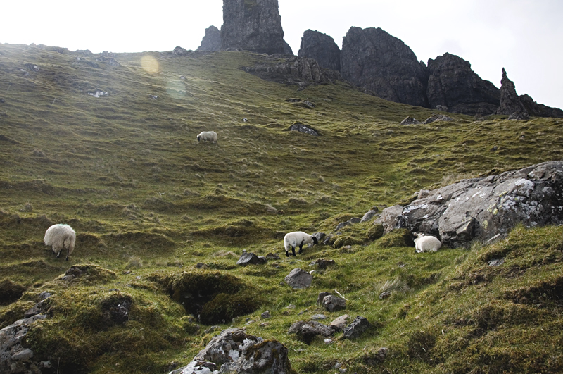 droga do Old Man of Storr Szkocja