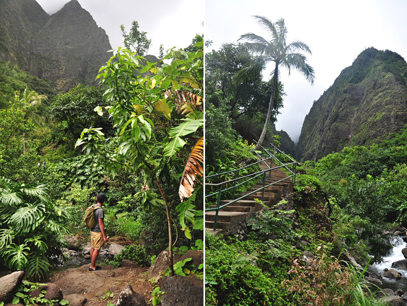 atrakcje Maui Iao Valley