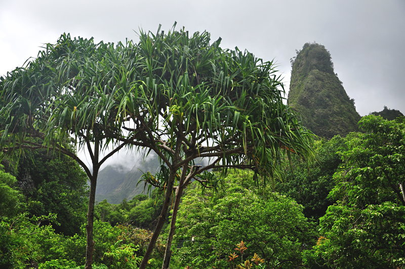 Iao Valley na Maui