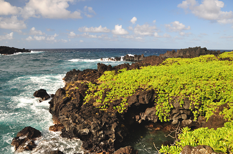 Waianapanapa State Park