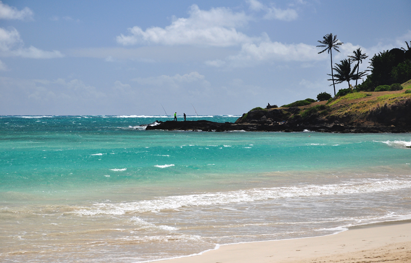 Oahu Hawaje