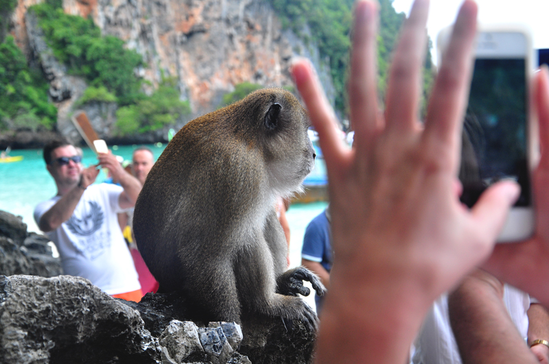 atrakcje ko phi phi