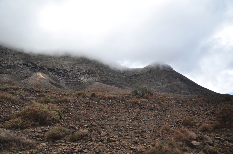 krajobraz Fuerteventura