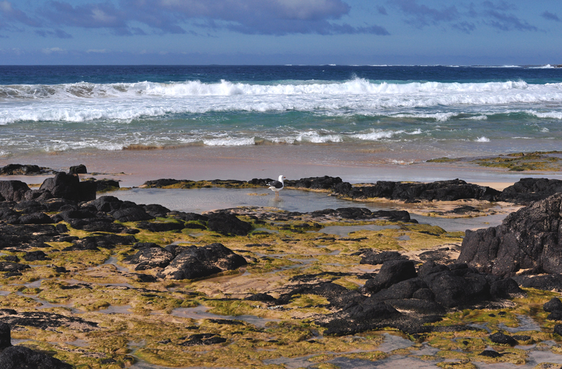 plaża El Cotillo Fuerteventura