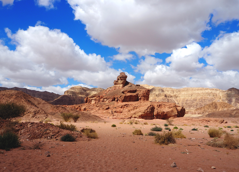 Spiral Hill Timna Park