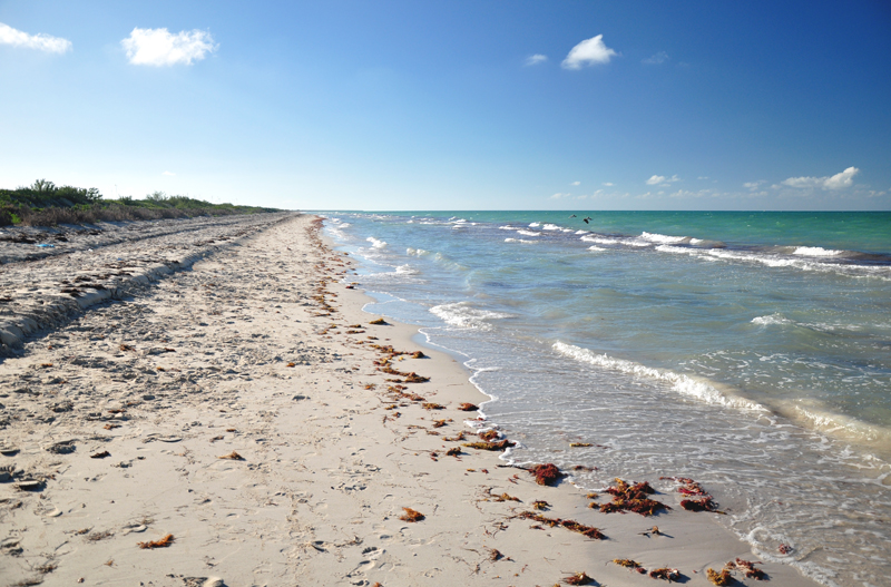 plaża jukatan