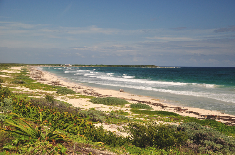 wybrzeże Cozumel