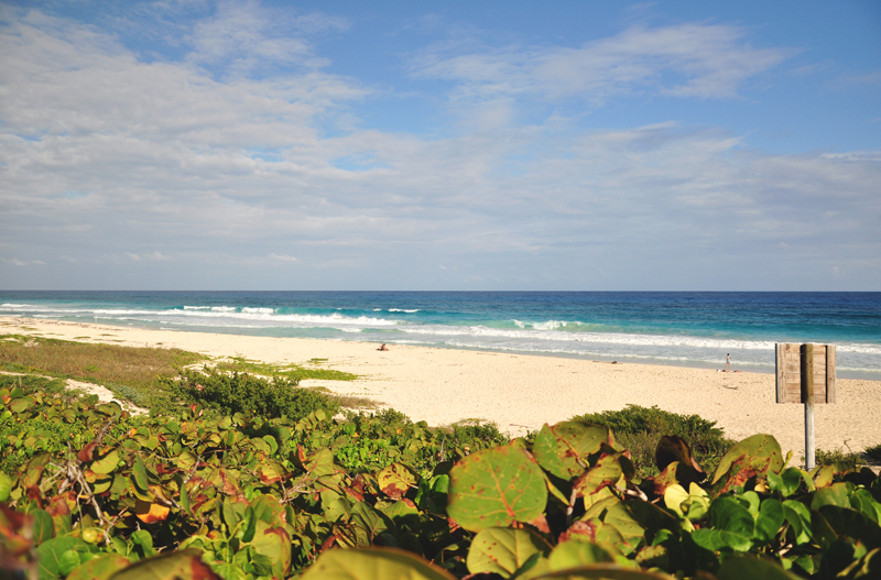 plaża Cozumel