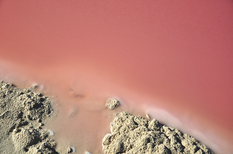 Laguna Las Coloradas