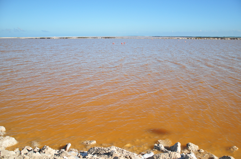 Las coloradas Meksyk