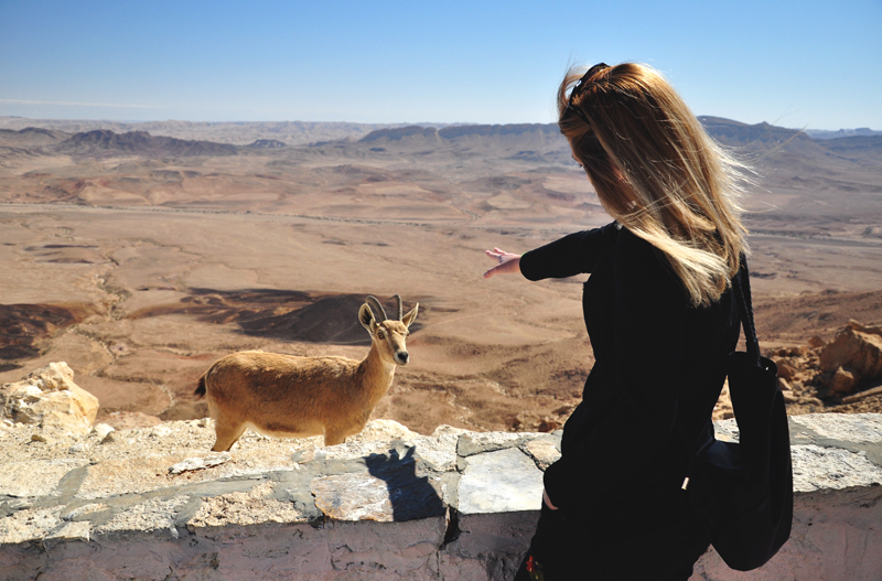 Mitzpe Ramon