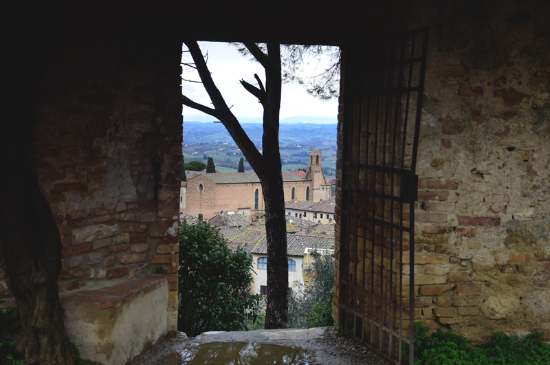 widok na San Gimignano