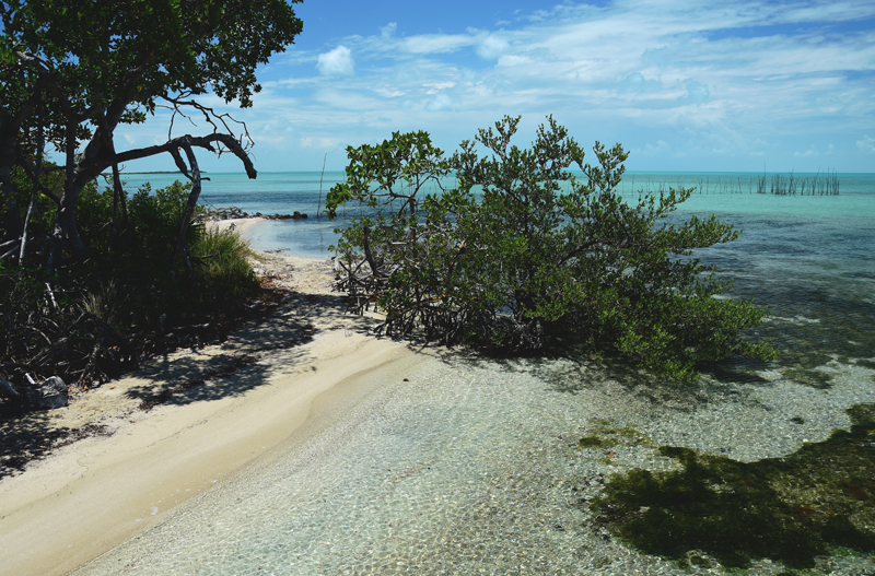 plaże w Belize