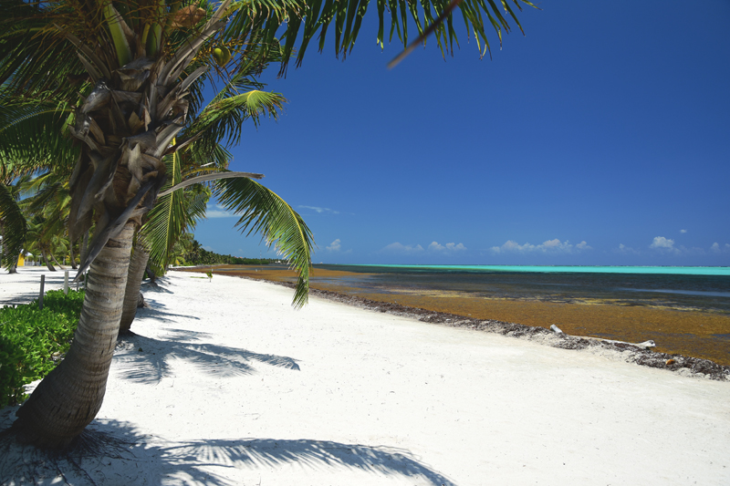 Ambergis Caye plażę