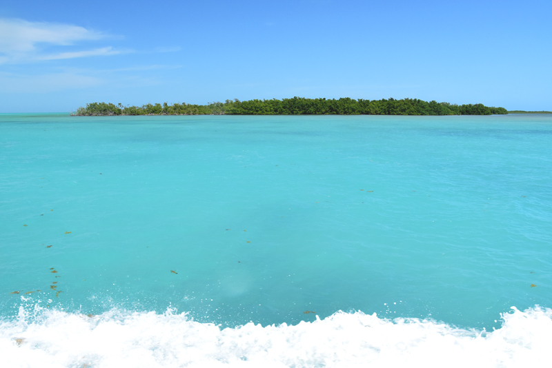 rejs na ambergris caye