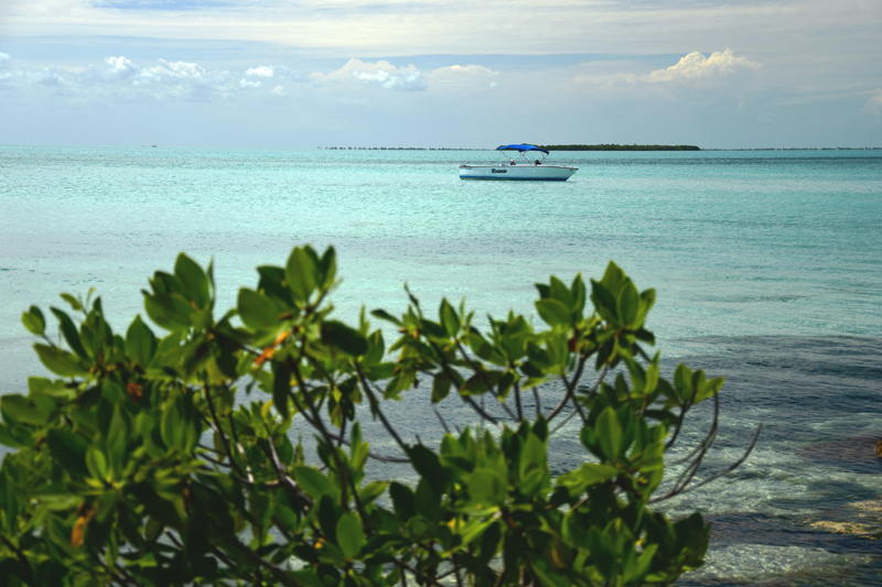 ambergris caye widoki