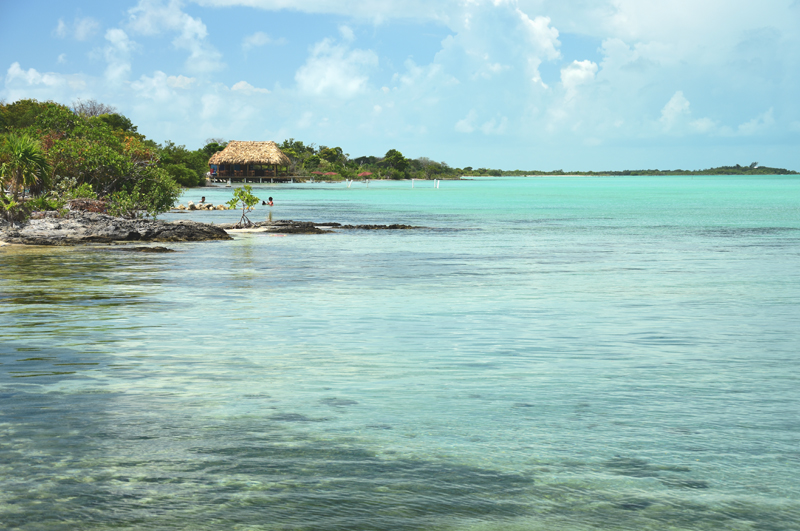 ambergris caye