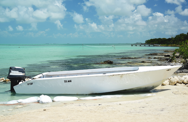 secret beach ambergris caye