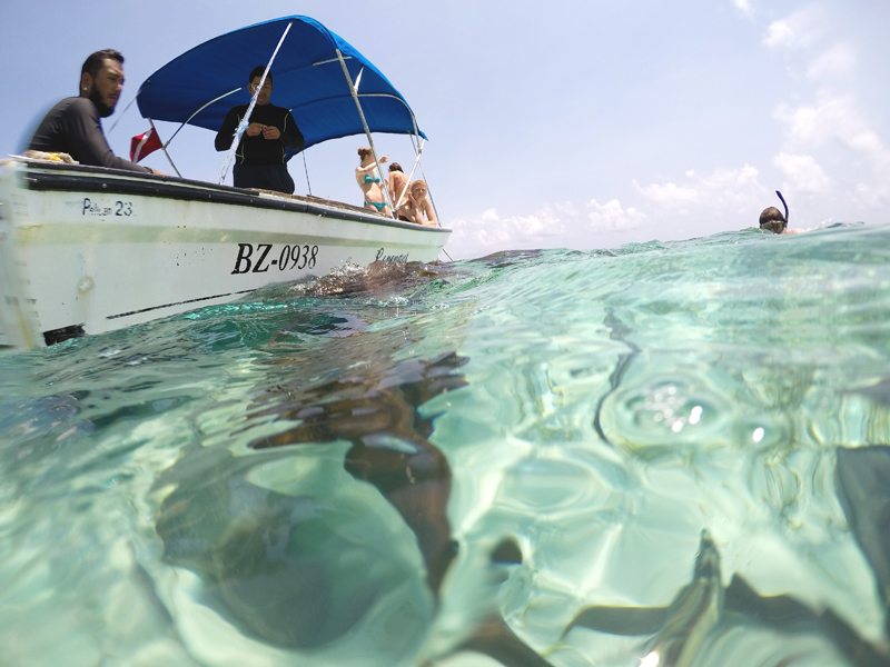 caye caulker snorkeling