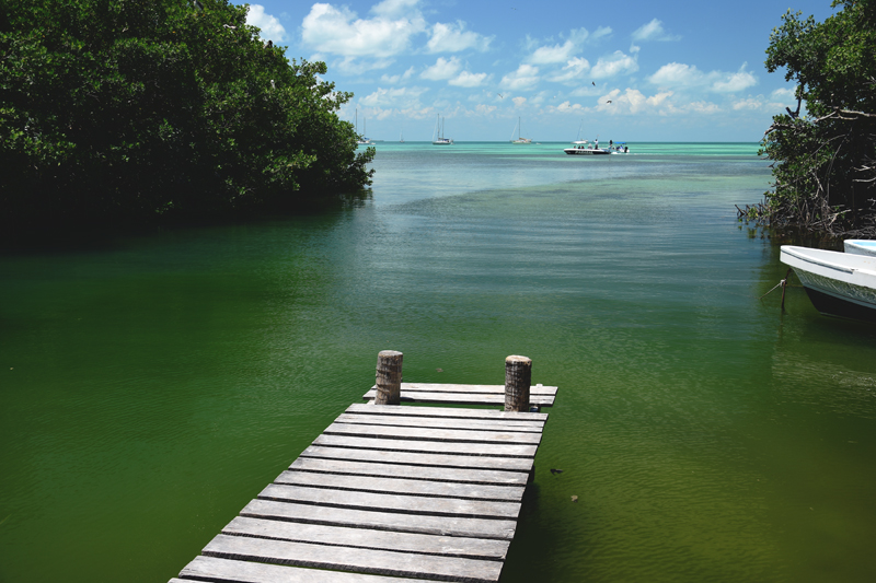 caye caulker