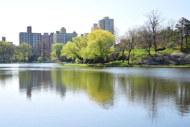 central park nowy jork