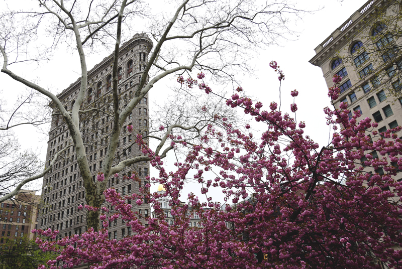 flatiron nowy jork