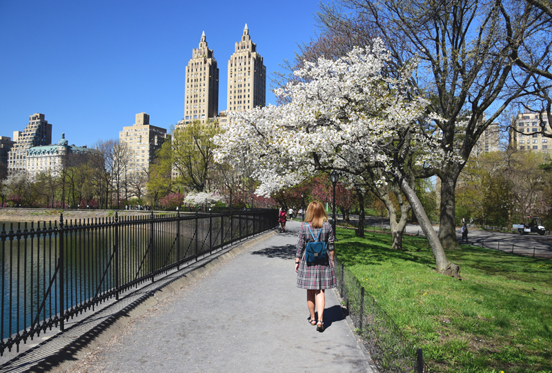 nowy jork central park