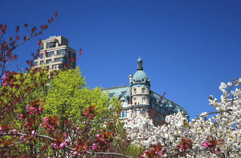 central park