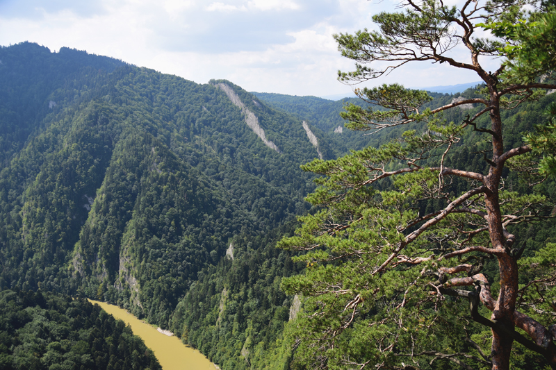 dunajec pieniny