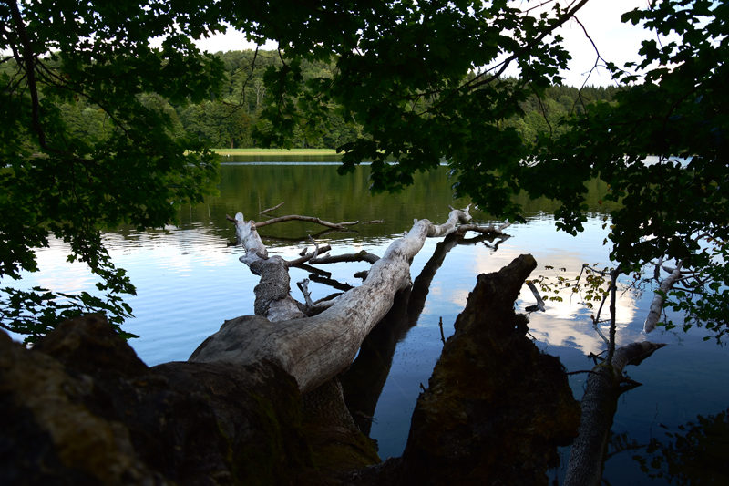 Jezioro Hańcza Suwalski Park Krajobrazowy