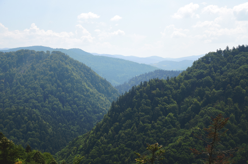 pieniny