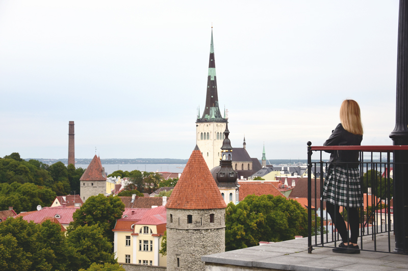 tallin punkt widkowy patkuli