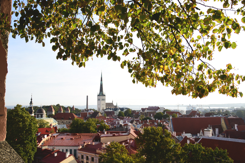 tallin punkt widokowy Kohtuotsa