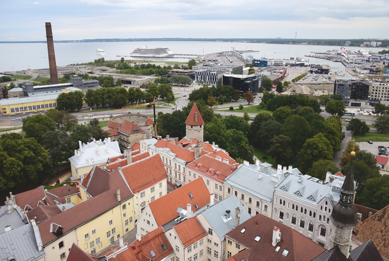 tallin punkt widokowy