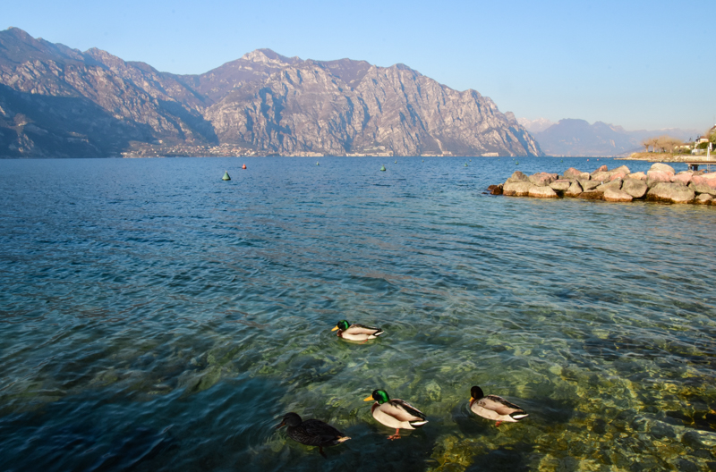 Jezioro Garda Włochy