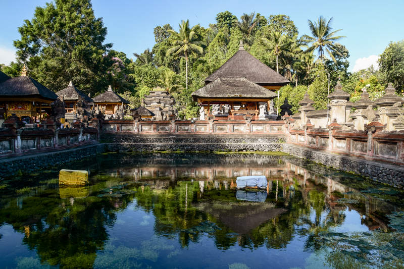 Bali co zobaczyć w okolicy Ubud