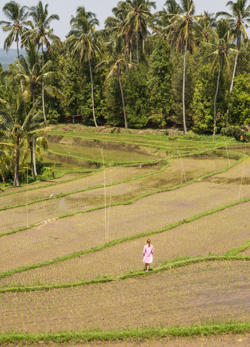 Północ Bali