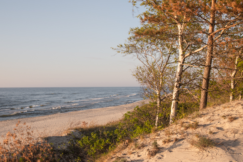 Plaża w Piaskach