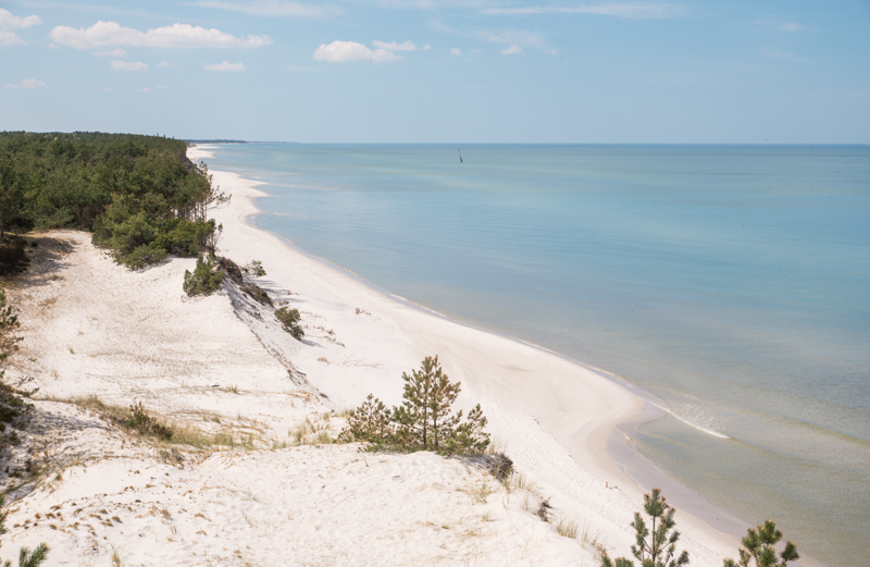 Dzika plaża