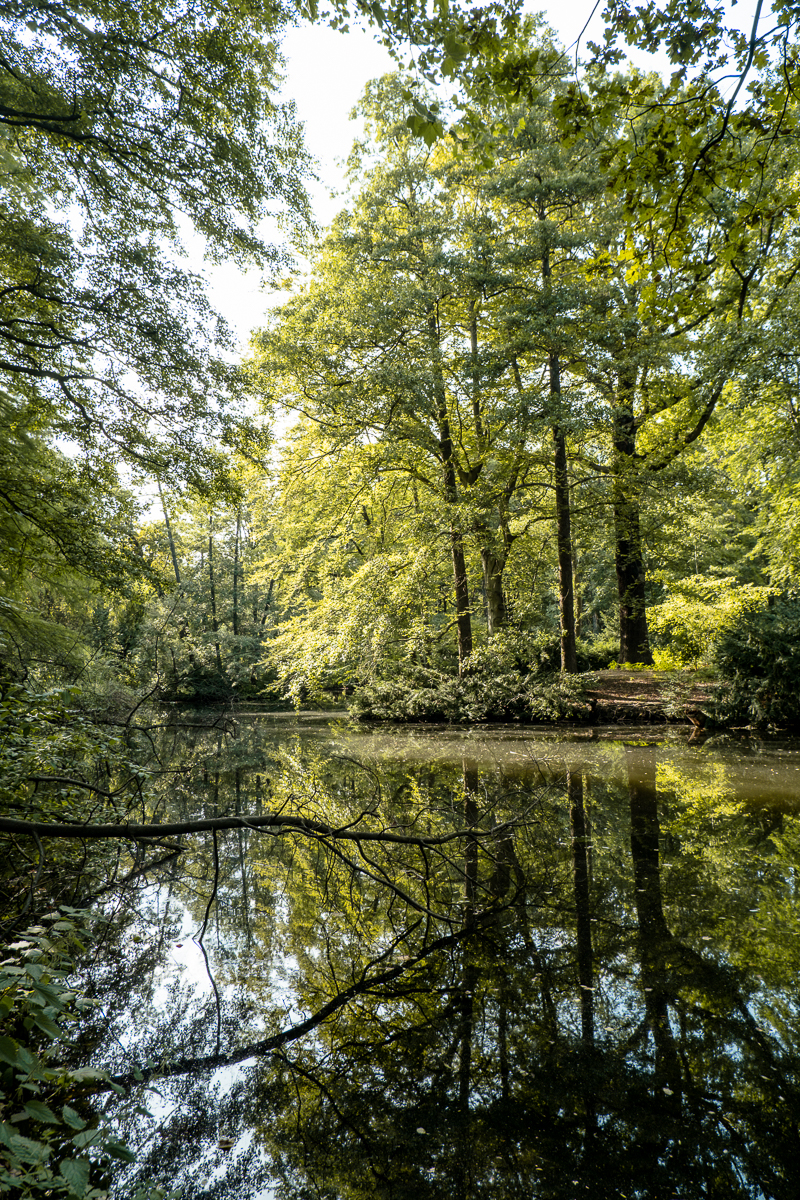 Tiergarten Berlin