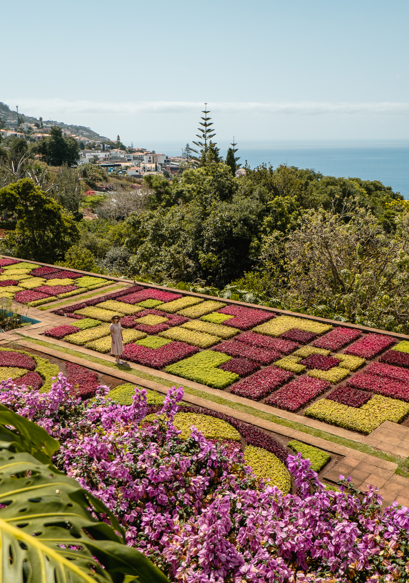 Jardim Botanico w Funchal