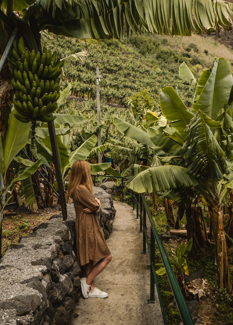 Rota da Banana Madera