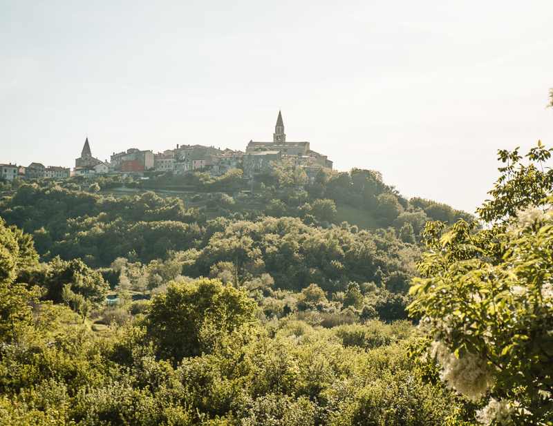 Buje Istria