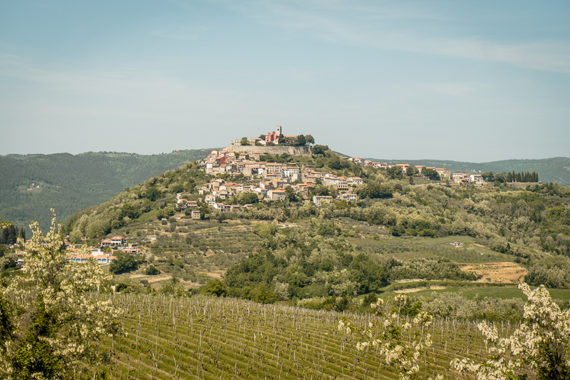 Motovun Istria