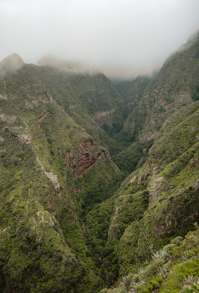 La Palma
