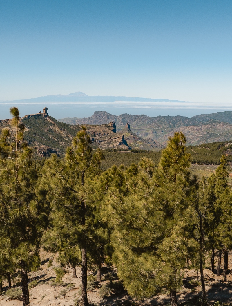 Pico de las Nieves - panorama z najwyższego szczytu Gran Canarii