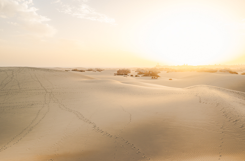 Rezerwat przyrody Dunas de Maspalomas - złociste wydmy Gran Canarii